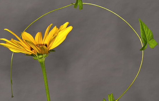 被喜欢的人讨厌了如何挽回