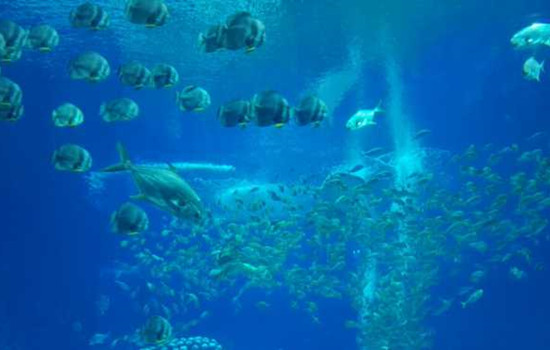 相亲男与你说晚安