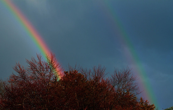 认识相亲女20天可以说喜欢她吗