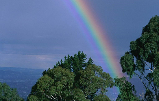 怎样与相亲女孩电话聊天