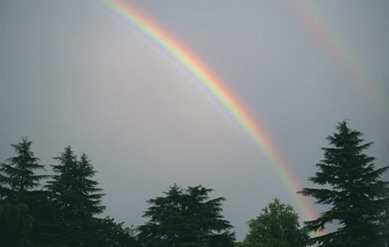 相亲女问你在找对象没