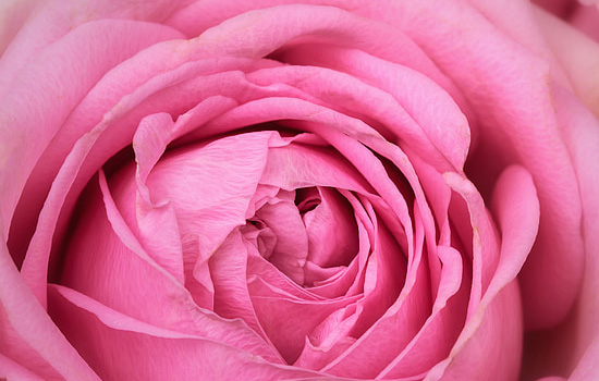 谈恋爱女生出轨怎么挽回男友