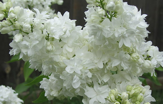 谈恋爱女生出轨怎么挽回男友