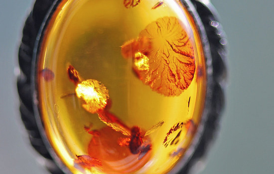 挽回前男友发什么都不回复