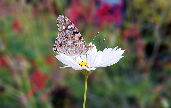 挽回前男友发什么都不回复