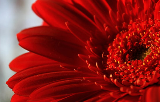 第一次相亲男生带朋友去