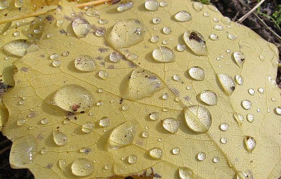 第一次相亲女方亲戚都来了怎么办