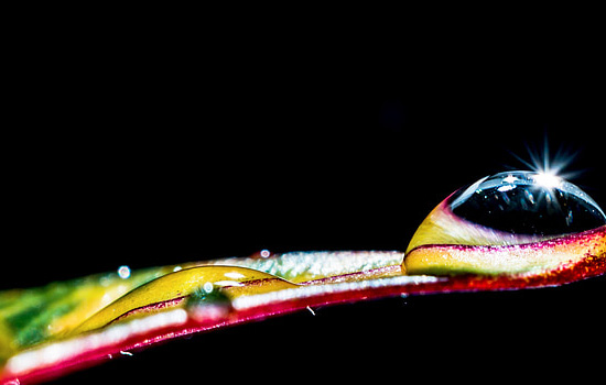 第一次相亲女方亲戚都来了怎么办