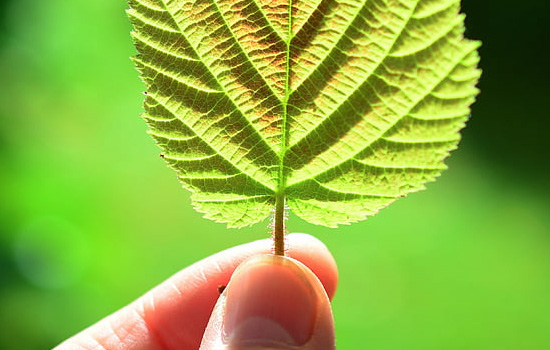 挽回女友道歉信管用吗