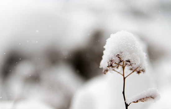 挽回前女友她要复合理由