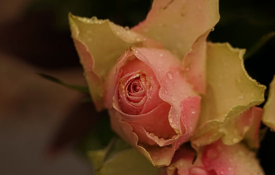 挽回前女友她要复合理由