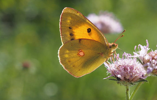 与相亲女微信聊天聊什么