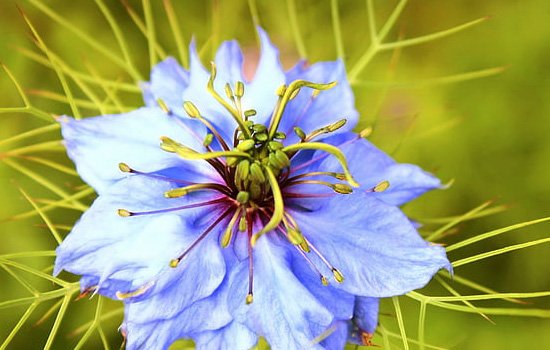 与相亲女微信聊天聊什么