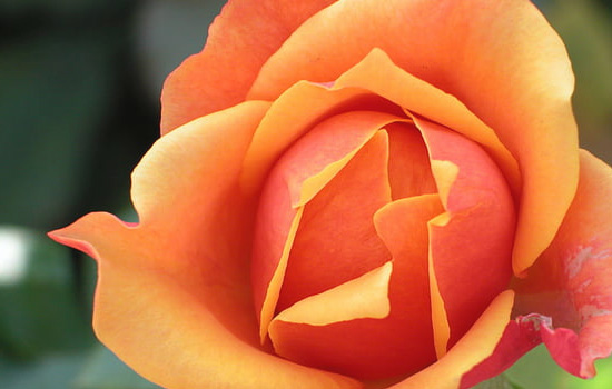 与相亲女微信聊天聊什么