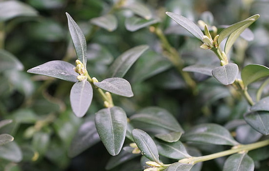 与相亲女微信聊天聊什么