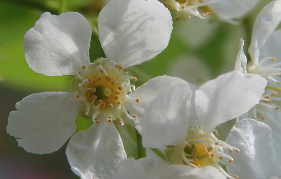 相亲女不回微信不接电话怎么办