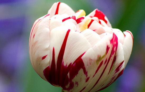 相亲女不回微信不接电话怎么办