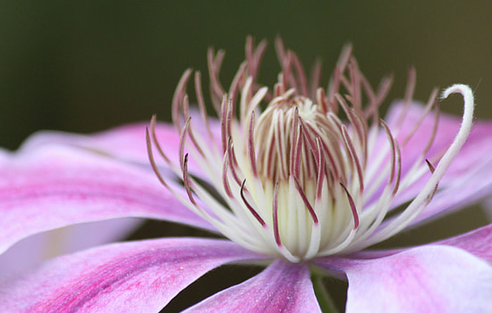 相亲女不回微信不接电话怎么办