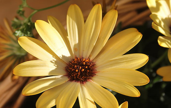 微信被拉黑怎么挽回男朋友