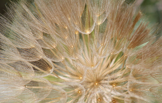 相亲女不回微信却发朋友圈