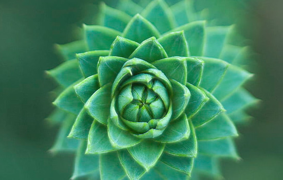 挽回前男友发什么都不回复