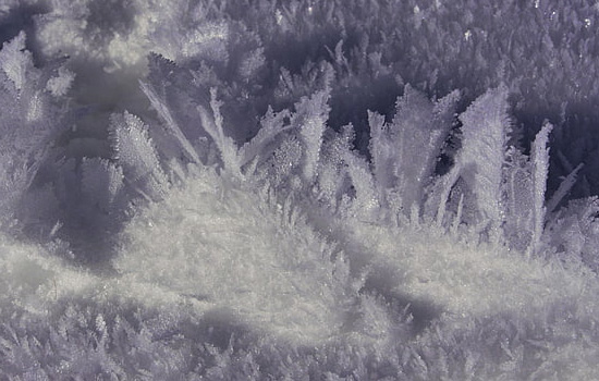 相亲怎样才能成功