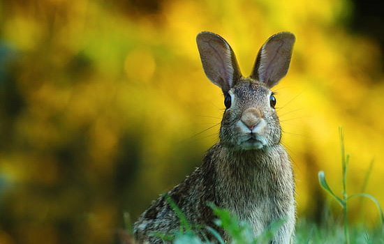 挽回女友道歉信管用吗
