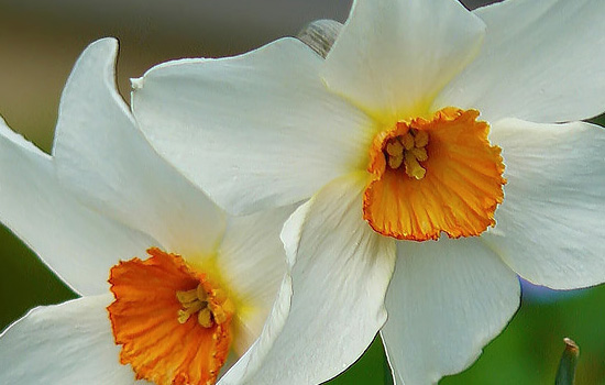 挽回前男友见面注意事项