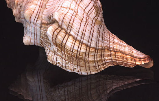 挽回女友道歉信管用吗