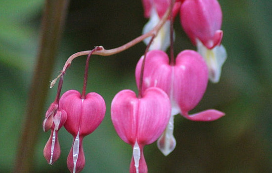 相亲男为什么着急与你见面