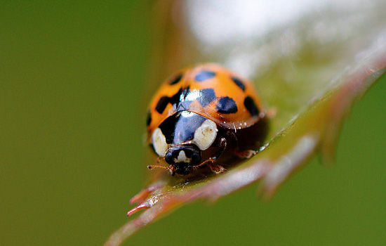 做什么事情能挽回男友的心