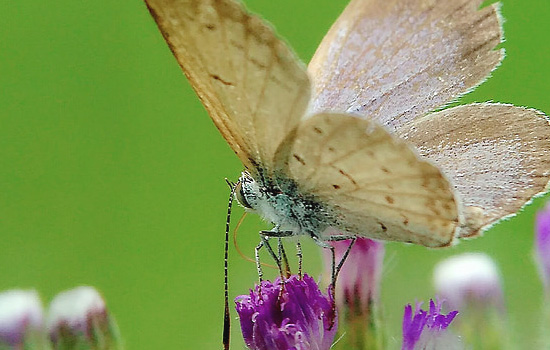 相亲男与你聊的很好但一天不联系你