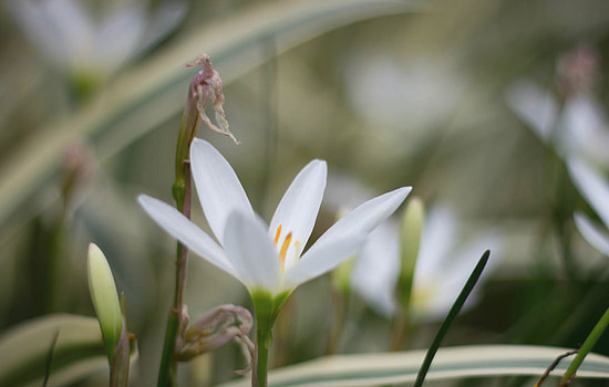 相亲男与你聊的很好但一天不联系你