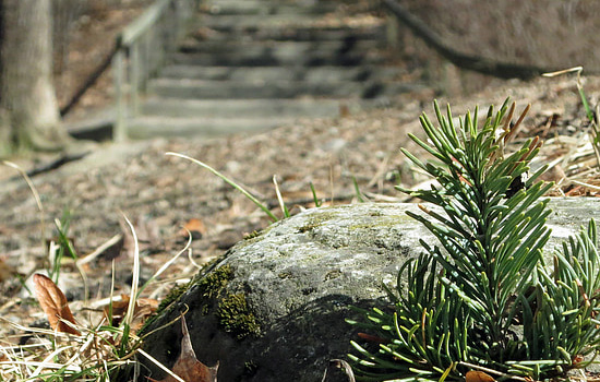 相亲男与你聊的很好但一天不联系你