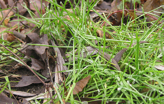 相亲男与你聊的很好但一天不联系你