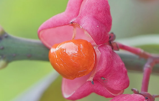 相亲男与你聊的很好但一天不联系你