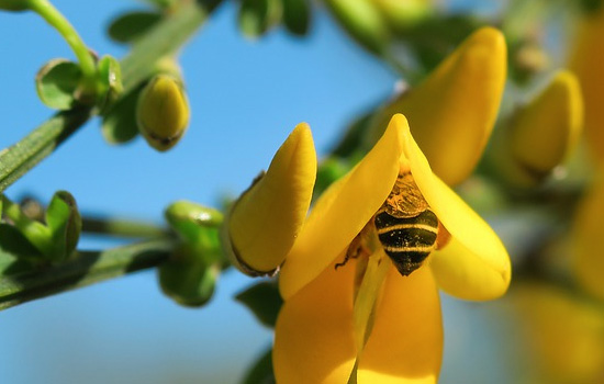 女生冷暴力意味着什么