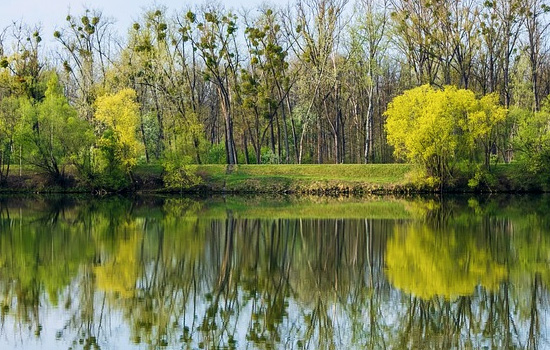 女生冷暴力意味着什么