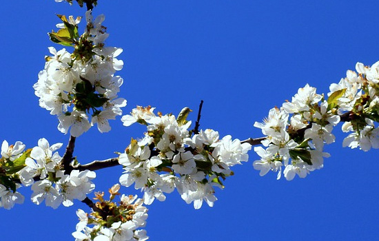 女生冷暴力意味着什么