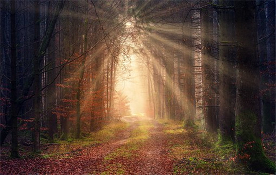 女朋友说与平分手还能挽回吗