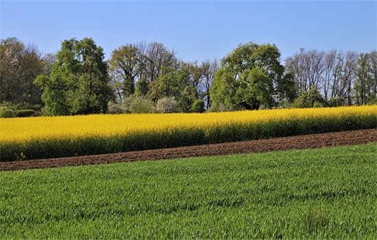 女朋友说与平分手还能挽回吗