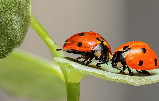 微信被拉黑怎么挽回男朋友