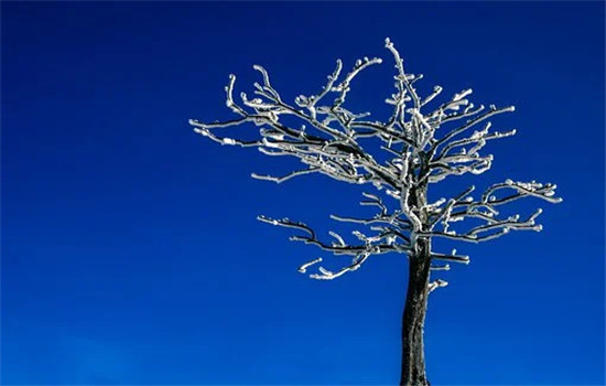 女朋友试探男朋友失败分手了怎么办