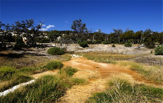 女朋友试探男朋友失败分手了怎么办