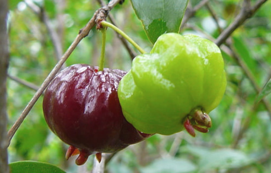 与女朋友分手理由怎么说最合适