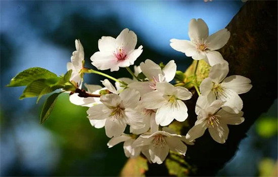 没感觉了怎么提分手