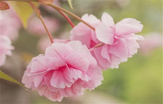 女朋友要分手的表现