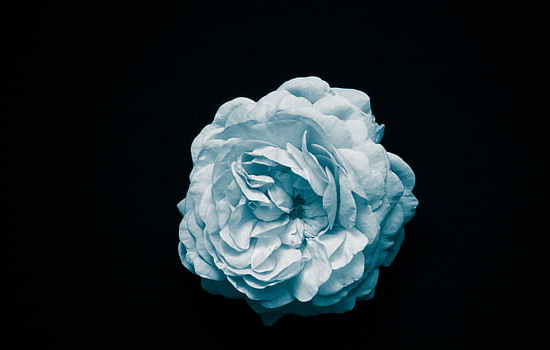 兄弟姐妹性格不合如何相处