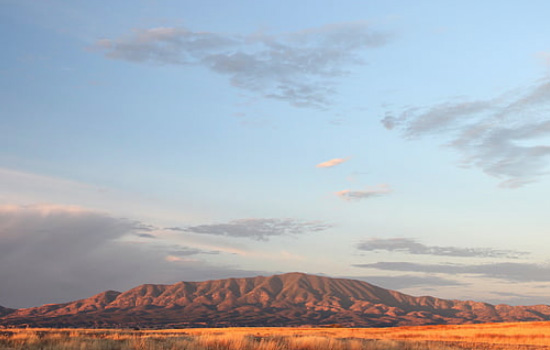 性格不合离婚又离不了怎么办