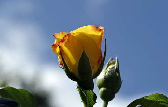 情侣性格不合能磨合吗